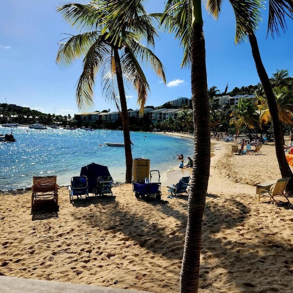 Una playa con palmeras, agua azul cristalina y sillas de playa.