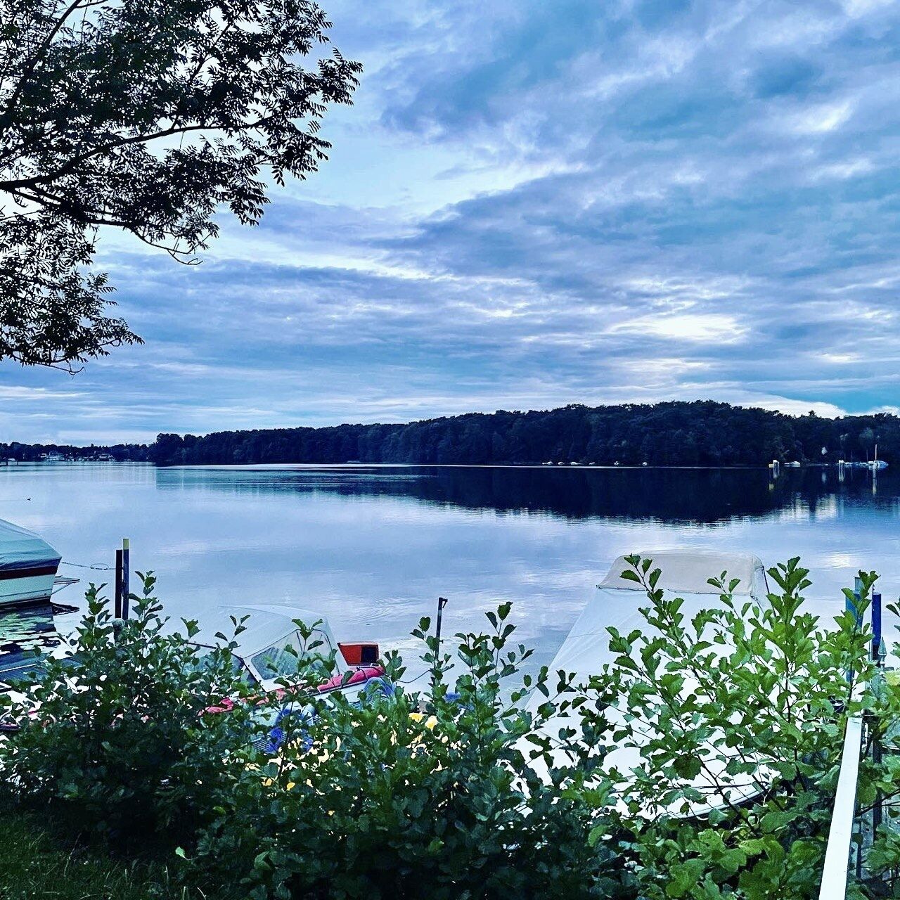 A calm lake with a dock and boats, surrounded by greenery and trees.