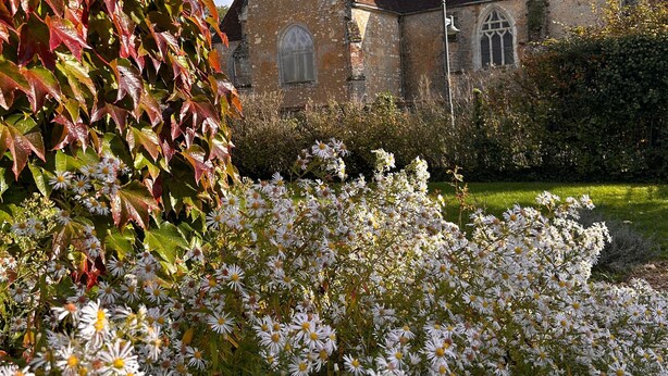 A church with a traditional architectural style, surrounded by a garden with white flowers and red-leaved plants.