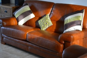 Smart TV, chimenea, reproductor de DVD y libros 