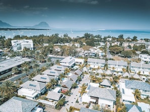 Stunning coastal homes with a mix of modern and traditional styles, set amidst palm trees and overlooking the sea.
