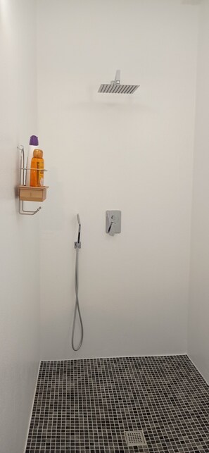 Shower, towels, soap, toilet paper