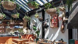 Een terras met houten tafels en stoelen, hangmanden met planten, en een bar met flessen en glazen.