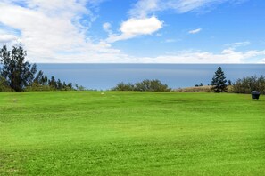 Golf - WAIKOLOA VILLAGE CONDO#E10: GOLF COURSE FRONTAGE, OCEAN VIEWS, GREAT STUDIO! (Waikoloa)