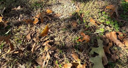 Clean, comfy and cute farmhouse between Joplin and Neosho, easy access to I-49.