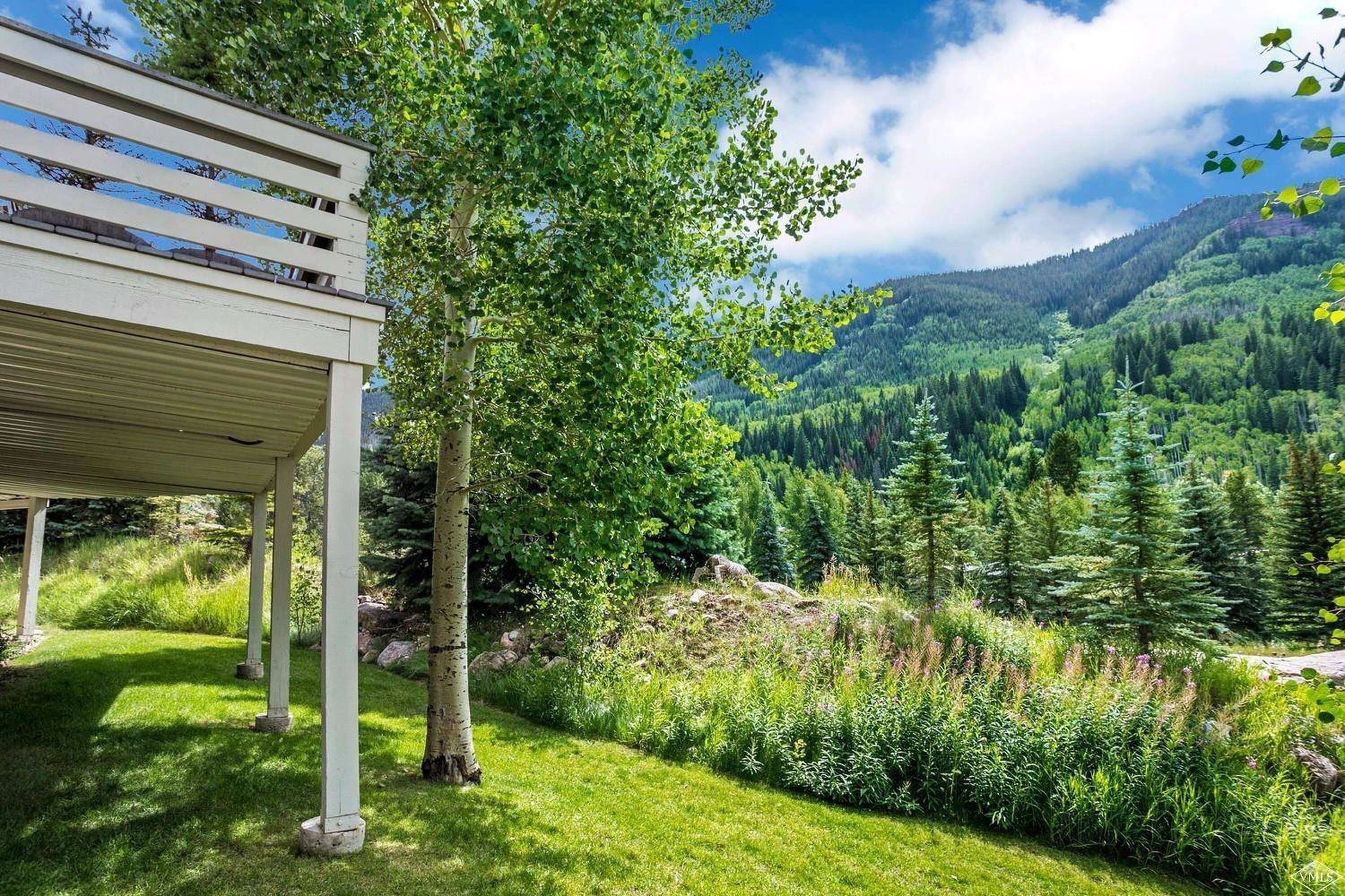 Casa, 4 quartos | Área da propriedade