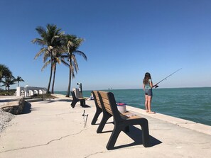 Property grounds - Beautiful Exclusive Nearly Waterfront Cottage (Captiva)