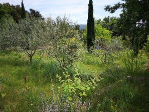 المنطقة المحيطة بالمنشأة