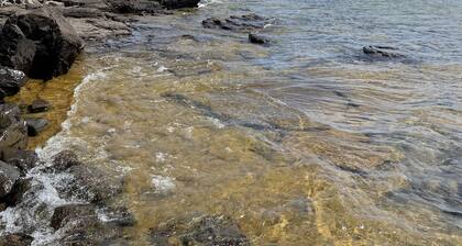Lake Front North Shore Cottage.