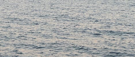 A large cargo ship on calm waters.