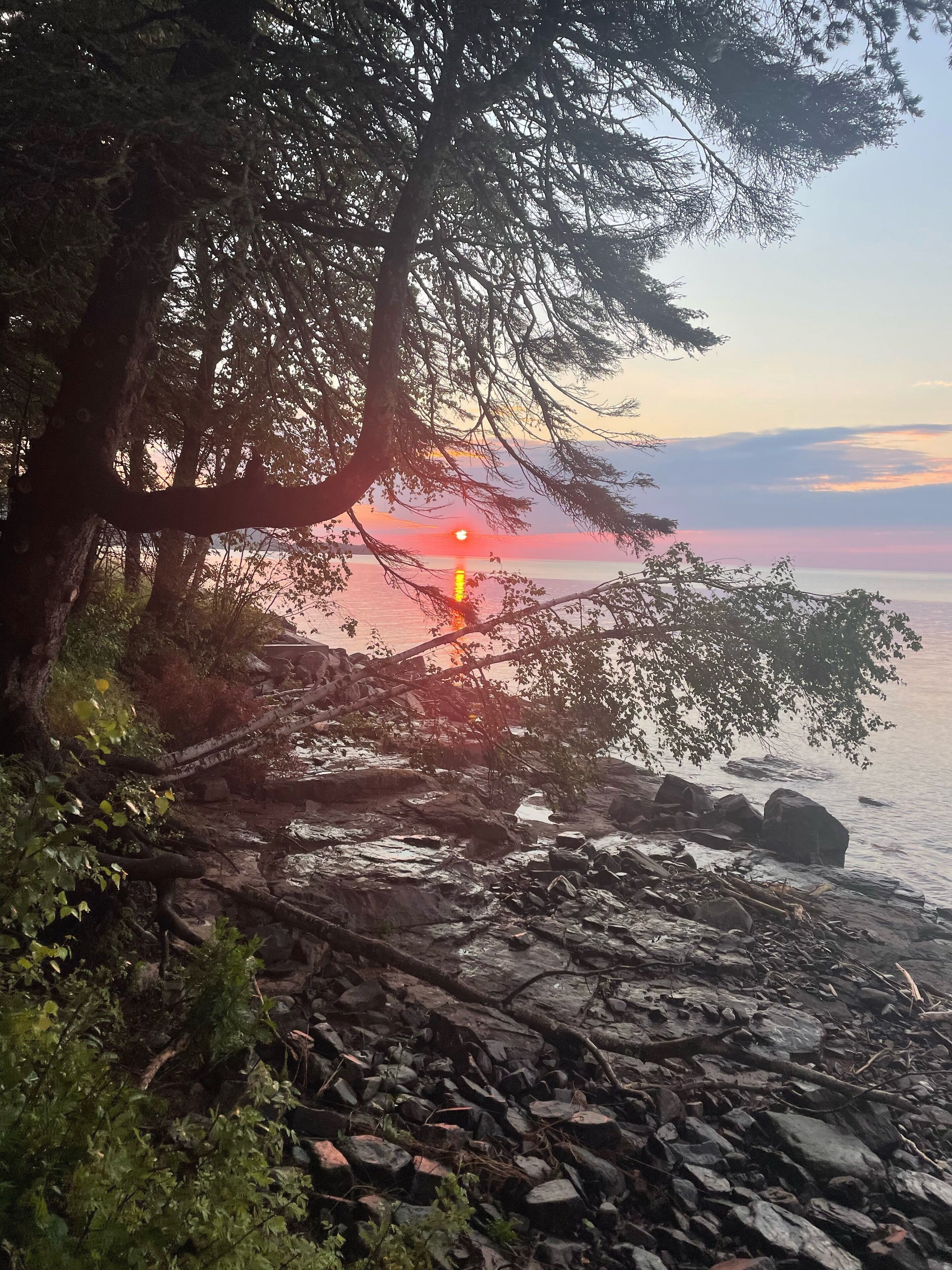 A rocky shoreline with trees and a sunset over the water.
