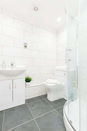 Shower, hair dryer, towels