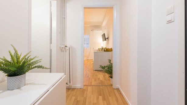 A hallway with a wooden floor, white walls, and a potted plant on a white counter. - Apartment at Megaro Mousikis metro station 1bed 2 pers (Athens)
