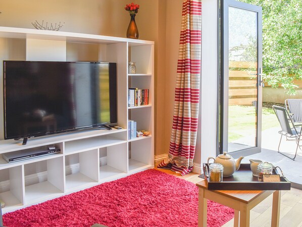 A living room with a flat-screen TV, bookshelves, a red rug, and a sliding glass door to a patio.