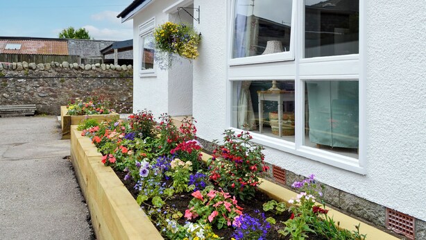 A white building with large windows and a flower bed with various colorful flowers in front. - The Butchers Cottage (Edzell, near Brechin)