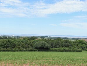 A rural landscape with a field of crops, trees, and distant buildings.