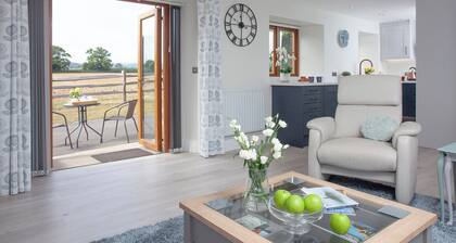 1 bedroom accommodation in Bridgwater