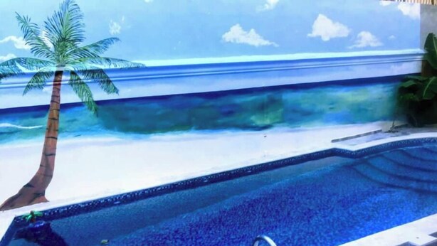 Ein Schwimmbecken mit Blick auf den Ozean und einer Palme.