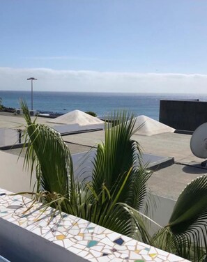 Une terrasse sur le toit offrant une vue sur la mer, agrémentée de plantes tropicales et d’une antenne parabolique.