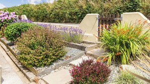 A landscaped garden with various plants and a concrete pathway. - A charming, detached farmhouse with plenty of character. (St Columb Major)
