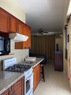 Private kitchen - Apartahotel Alvear (Santo Domingo)