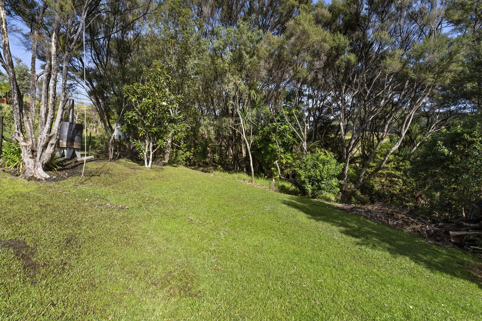 A grassy area with trees and a wooden structure.