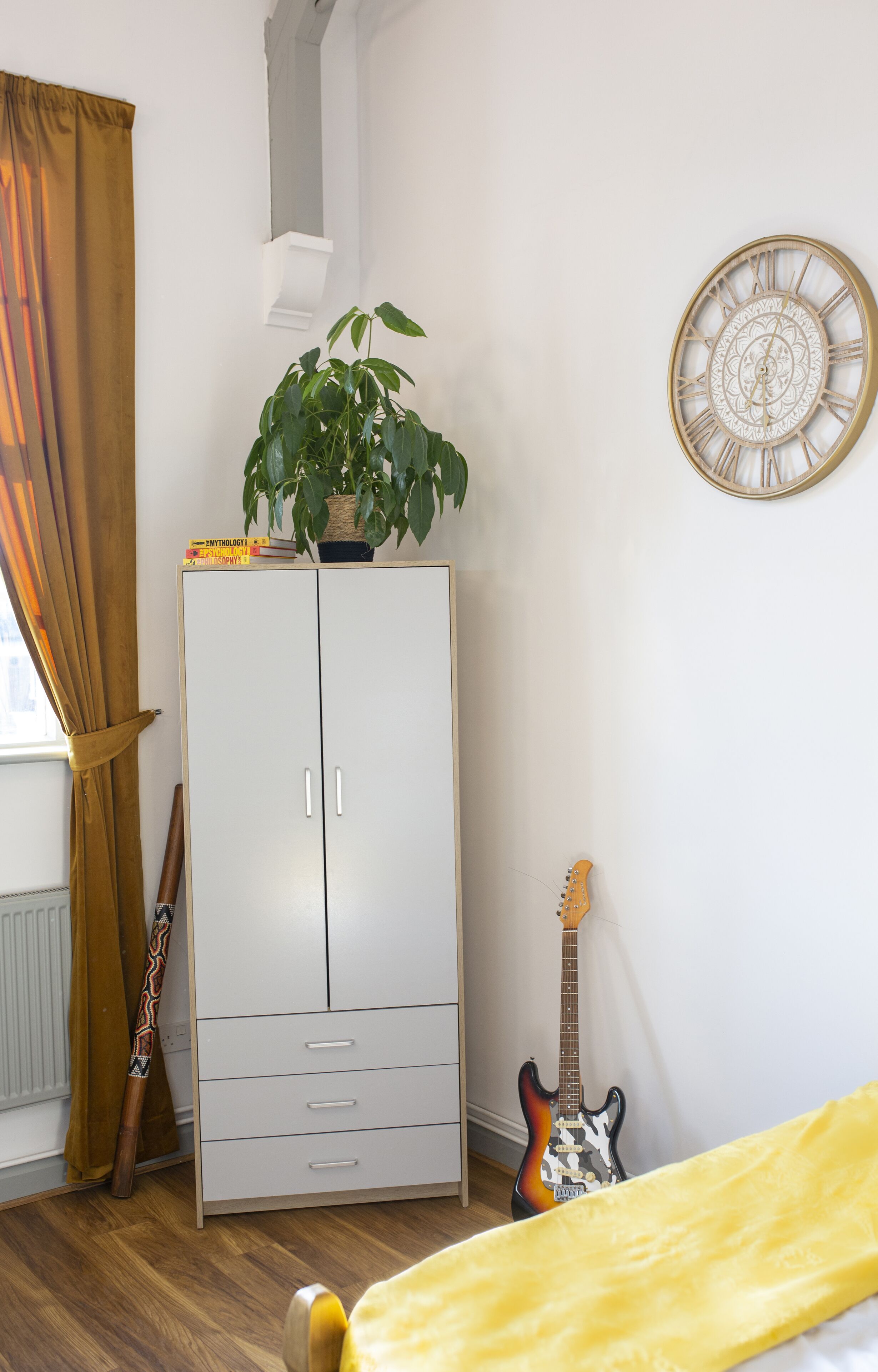A room with a wardrobe, a guitar, a plant, and a wall clock.