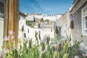 Exterior - Top Storey (Dartmouth)