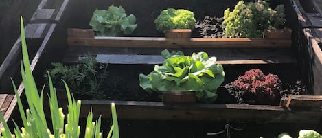 Àrea exterior de l'allotjament