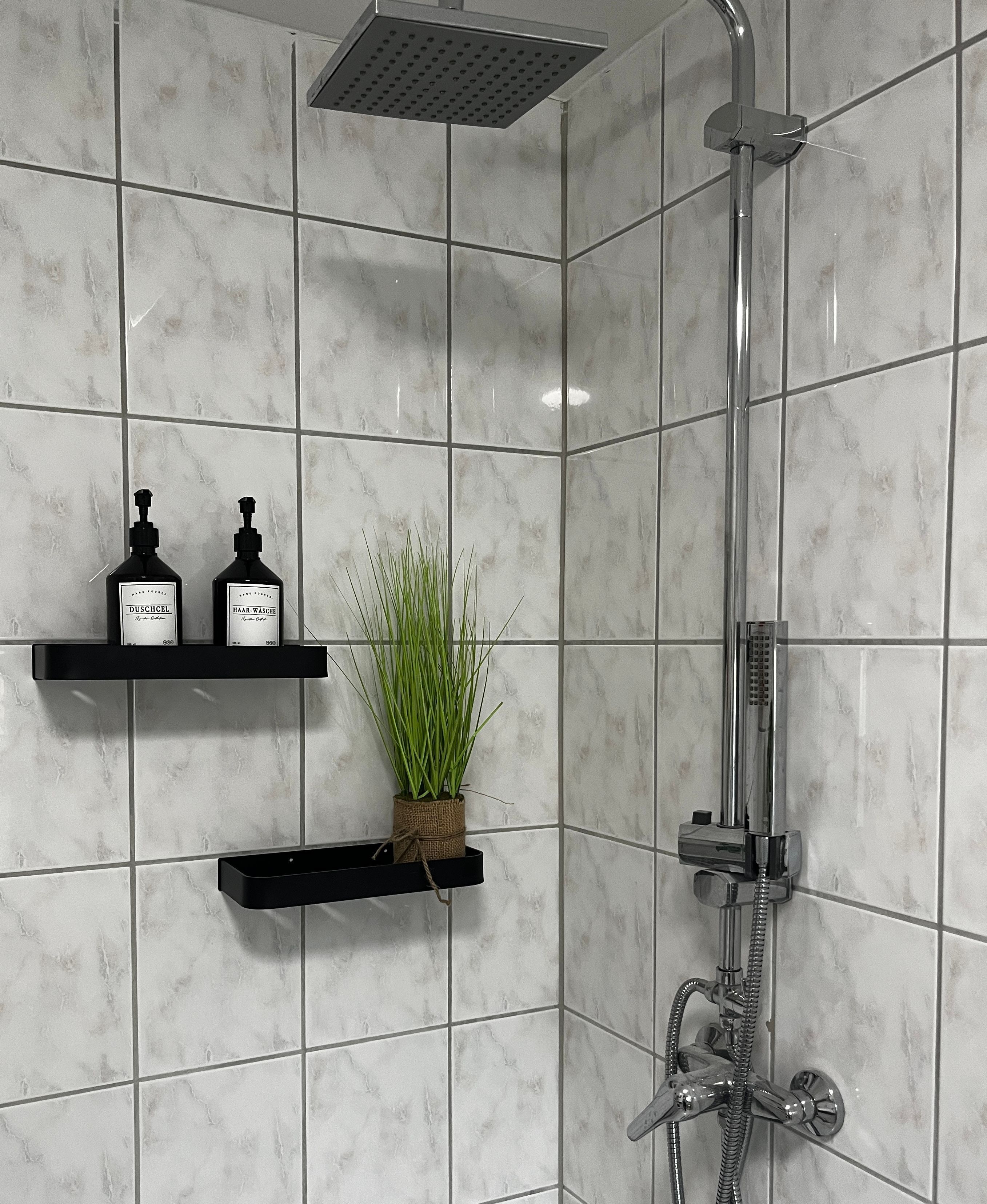 Ein Badezimmer mit Dusche, zwei Ablagen für Toilettenartikel und einer Topfpflanze.
