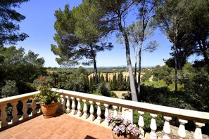 Photo non classée, 5 sur 50, bouton