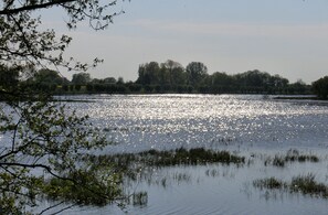 Imagem sem classificação, 5 de 33, botão