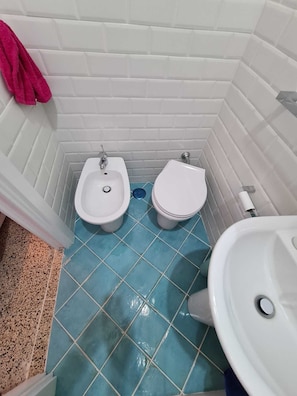 Een douche, een bidet