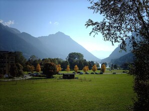 Unclassified image, 3 of 30, button