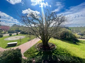 Property grounds - A21 (BC.a5) - Stranddomicil Steiner (Büsum)