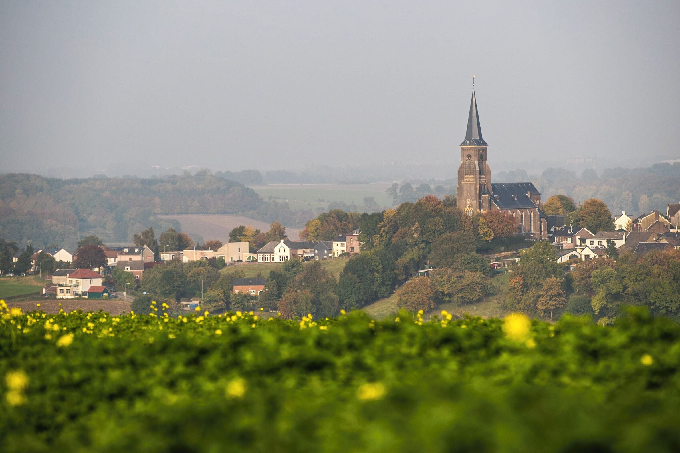 A rural landscape with a prominent church tower, surrounded by residential houses and fields.