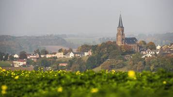 Een landelijk landschap met een opvallende kerktoren, omringd door woonhuizen en velden.