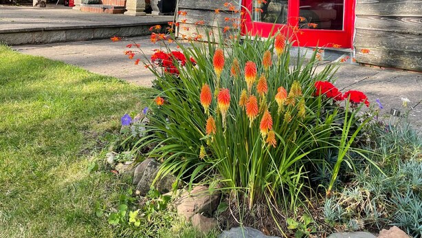Un edificio rústico de piedra con detalles rojos, una escalera de piedra y un jardín lleno de flores coloridas.