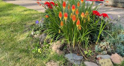 Camp Cottage the perfect escape and hideaway for a couple and dogs