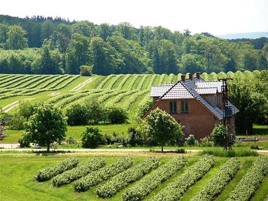 A house with a sloped roof, surrounded by lush green fields and trees.
