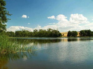 Uklassifisert bilde, 2 av 10, knapp