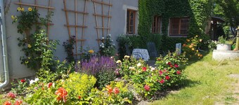 Cedar log cabin ZBZ Stella - Guesthouses Eva-Maria and Reinhard Köhler