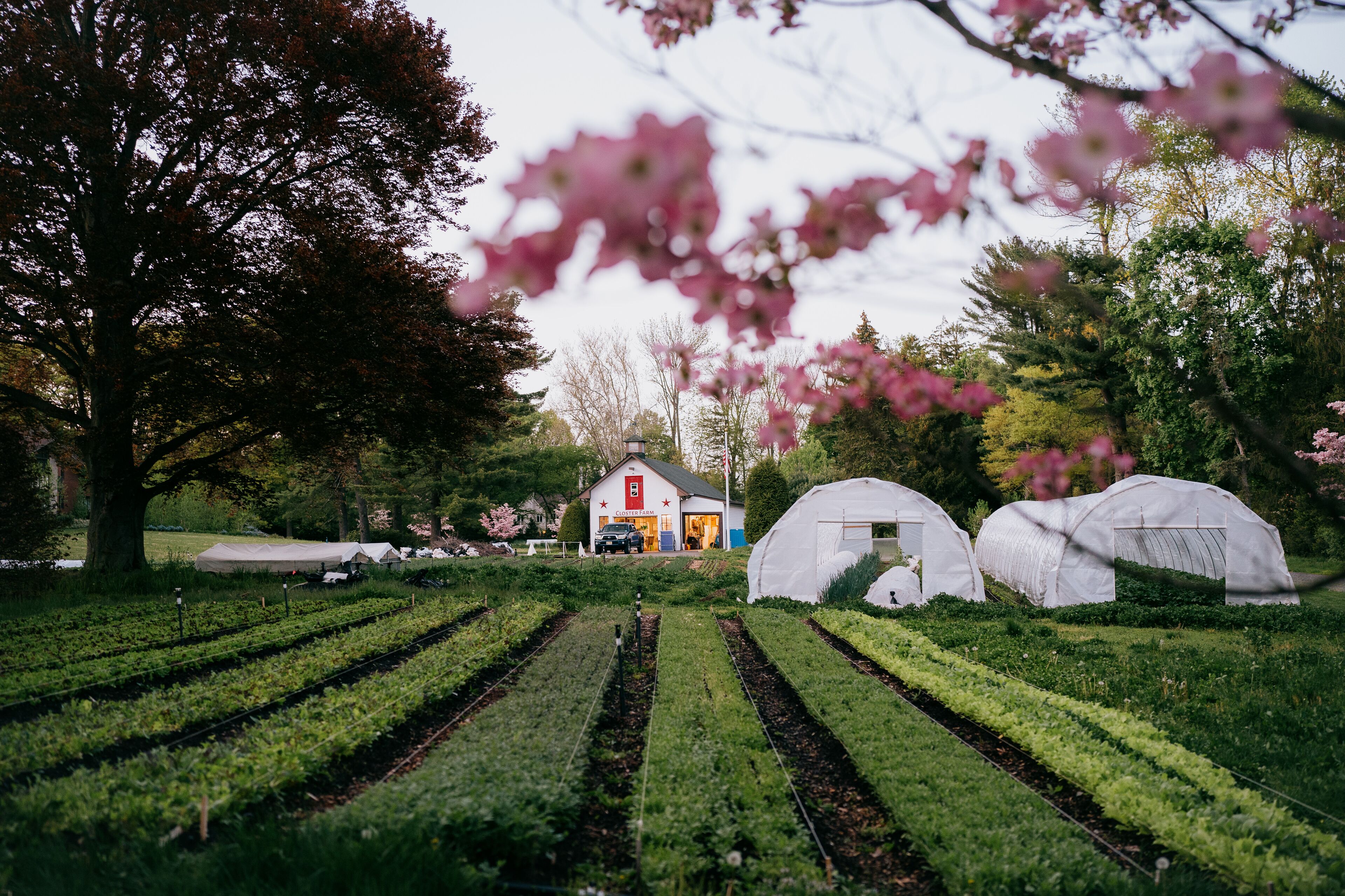 Top 10 ShortTerm Rentals In Bergen County, New Jersey Updated 2024 Trip101