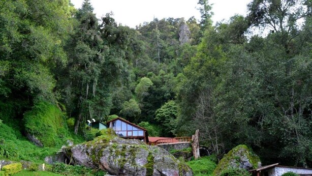 A rustic cabin nestled in a lush forest, surrounded by large rocks and dense greenery. - Hotel El Paraiso (Mineral del Chico)