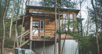 Sheltowee Traveler: Our Hike-In-Only Forested Treasure
