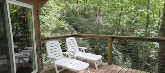 MossRock: A Wonderfully Secluded Off Grid Rustic Cabin