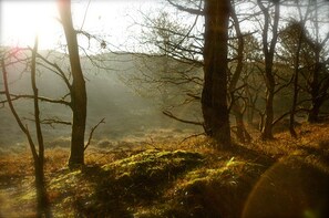 Àrea exterior de l'allotjament