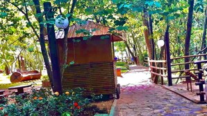 Una estructura de madera rústica rodeada por un jardín con flores rojas y un sendero de piedra.