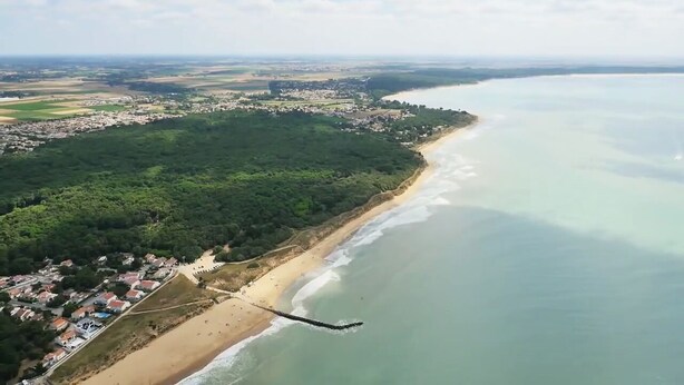 Vista aérea de una zona costera con playa, zona boscosa y barrio residencial.