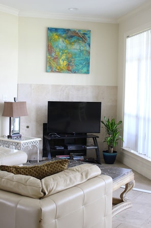 Smart TV, fireplace, books